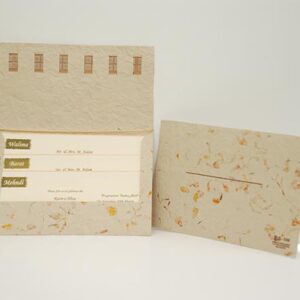 Q-536 – CREAM